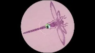 Kaaya - Untitled (Dragonfly records bflt 36) 1996. A: Braindance.