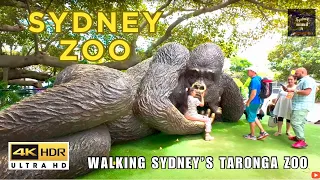 [4K] WALKING SYDNEY'S TARONGA ZOO