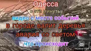 Одесса. Валит деревья. Видео с места событий. Авария со светом. Детали