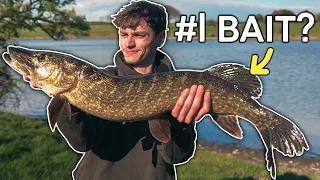 THIS Bait Catches BIG PIKE!