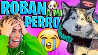 ROBARON A MI PERRO ODIN !!! (BROMA PESADA)