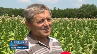 Na njivama i voćnjacima pune ruke posla, a sezonskih radnika sve manje