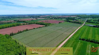 JAI Estates Canada | The Future of Apple Orchards