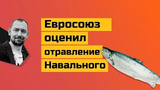 Европа прогнулась перед Россией, опять: санкции за Навального оказались пшиком