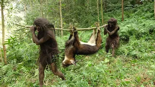 Primitive life - Forest People - Animal trapping skills of forest people