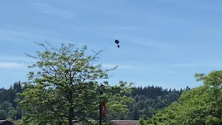 Balloon rescue