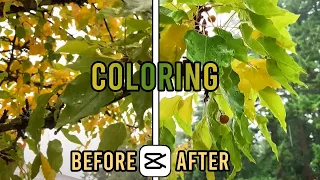 Capcut 101: How to do Coloring on CapCut