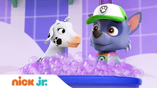 Щенячий патруль | Самые трогательные моменты | Nick Jr. Россия