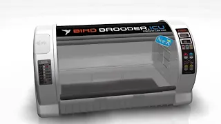 R.com Bird Brooder...