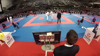 TANI RYUICHI vs HORUNA STANISLAV Male Kumite -75kg - 2014 World Karate Championships