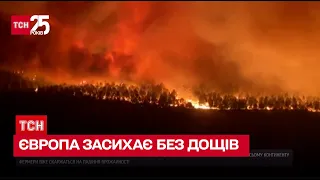 🔥 Європа смажиться і засихає без дощів, такого не було 500 років / погода, засуха - ТСН