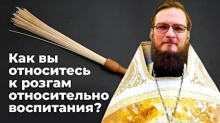 Как вы относитесь к розгам относительно  воспитания? Священник Антоний Русакевич