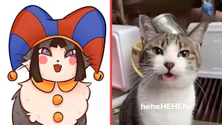 FUNNY CAT MEME ART COMPILATION V3