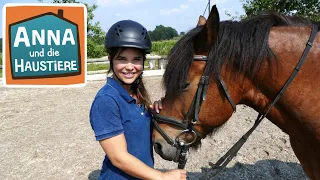 Anna lernt Reiten | Die ersten Reitstunden | KiKA/BR Reportage für Kinder - Trailer