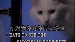 Sadness In Your Eyes - Video Karaoke (Fitto)