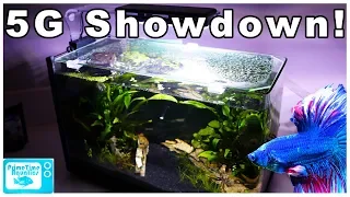 5 Gallon Fish Tank Showdown! Fluval Spec vs Aquatop Pisces vs Standard Five Gallon