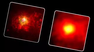 Fermi finds the first extragalactic gamma-ray pulsar