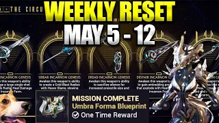 Farm Khora From Duviri! Casual Umbra Forma Alert | Warframe Weekly Reset May 5 - 12!