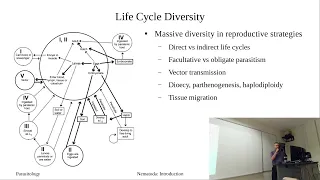 Nematoda: Introduction