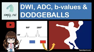 DWI, ADC, b-value & dodgeballs