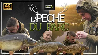 **4K** Northern Carp Diaries - La Peche DU PARC! (aka. Deer Park Lake)
