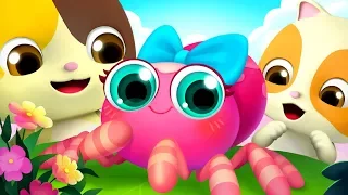 チビグモちゃんの家族「Itsy bitsy spider」 | 人気英語の童謡 | 赤ちゃんが喜ぶ英語の歌 | 子供の歌 | 童謡 | アニメ | 動画 | ベビーバス| BabyBus