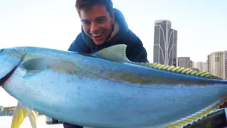 LUCKIEST KINGFISH CATCH EVER (Sydney Harbor Piers Fishing)