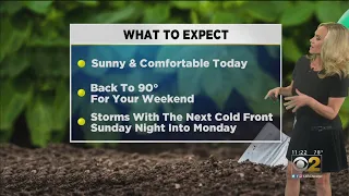 CBS 2 Weather Watch (11AM, July 25, 2019)