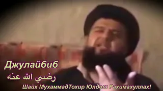 Джулайбиб Allah аз у рози бод