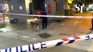 Police dog at scene of slashing in Beach Road