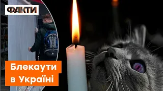 ЕКОНОМІКА без світла, або як ЖИВУТЬ БІЗНЕСИ під час масових відключень