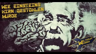 Wie Einsteins Gehirn gestohlen wurde - Weltraum-Wissen von Astro-Comics TV