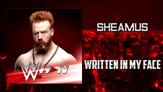 Sheamus - Written In My Face  + AE (Arena Effects)