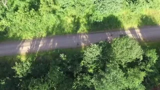 Baboons - 1st encounter - Drone