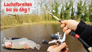 Lachsfollen Angeln mit Gummiköder Powerbait Garlstedter Fischzucht Ultralight Angeln Goldforelle