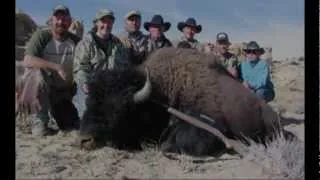 Henry Mountains Buffalo with Offgrid Outdoors Trophy Hunter Magazine