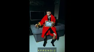 Gera MX, Jayrick - Aprendiz (Visualizer)