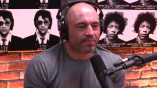 Joe Rogan on Micro-dosing Psilocybin