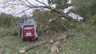 60-foot tree uprooted in Stonington by Nor’easter