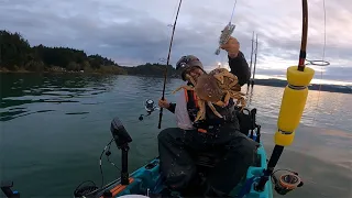 Catching Big Crabs with Fishernomics Crab Snares - Oregon Dungeness Crabbing