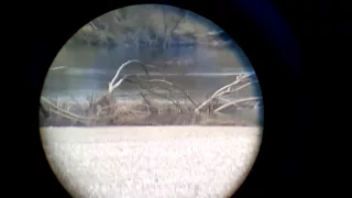 view through binoculars  10x-30x60