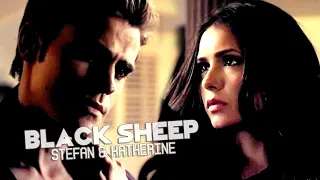 Steferine | Black Sheep