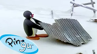Productive Pingu 🐧 | Pingu - Official Channel | Cartoons For Kids