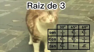 Gatito Bailando Canción de Matemáticas (Subtitulado)