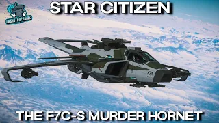 Star Citizen - I Took Hornet Mk2 Turrets And Put Them On The Hornet Ghost