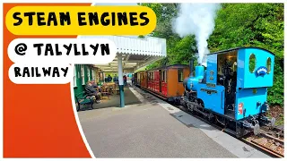 Steam Engines on the Talyllyn Narrow Guage Railway, North Wales