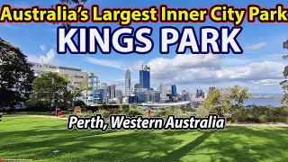 KINGS PARK | Most Popular Park in Perth - Bigger than NY Central Park 😲  (Full Walking Tour)