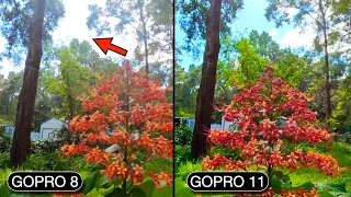 GoPro 11 vs GoPro 8 Video Test Compare