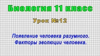 Биология 11 класс (Урок№12 - Появление человека разумного. Факторы эволюции человека.)