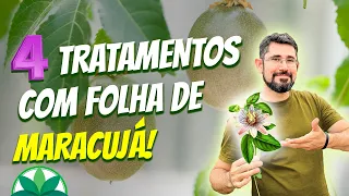 4 tratamentos com folha de maracujá! Você sabia dessas propriedades?